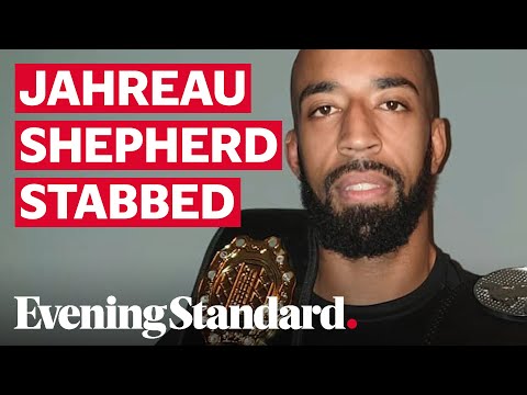 Champion MMA fighter Jahreau Shepherd stabbed to death at his 30th birthday in London