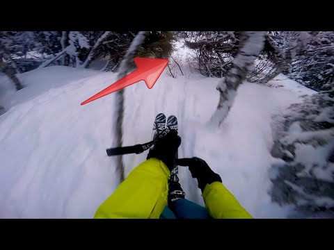Skiing through forest with no mercy!
